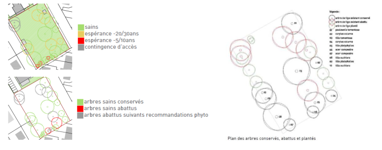 Préservation des Arbres
